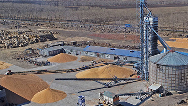 糧食烘干合作社如何做到年節(jié)省90萬元？利民萬佳鍋爐為您解析